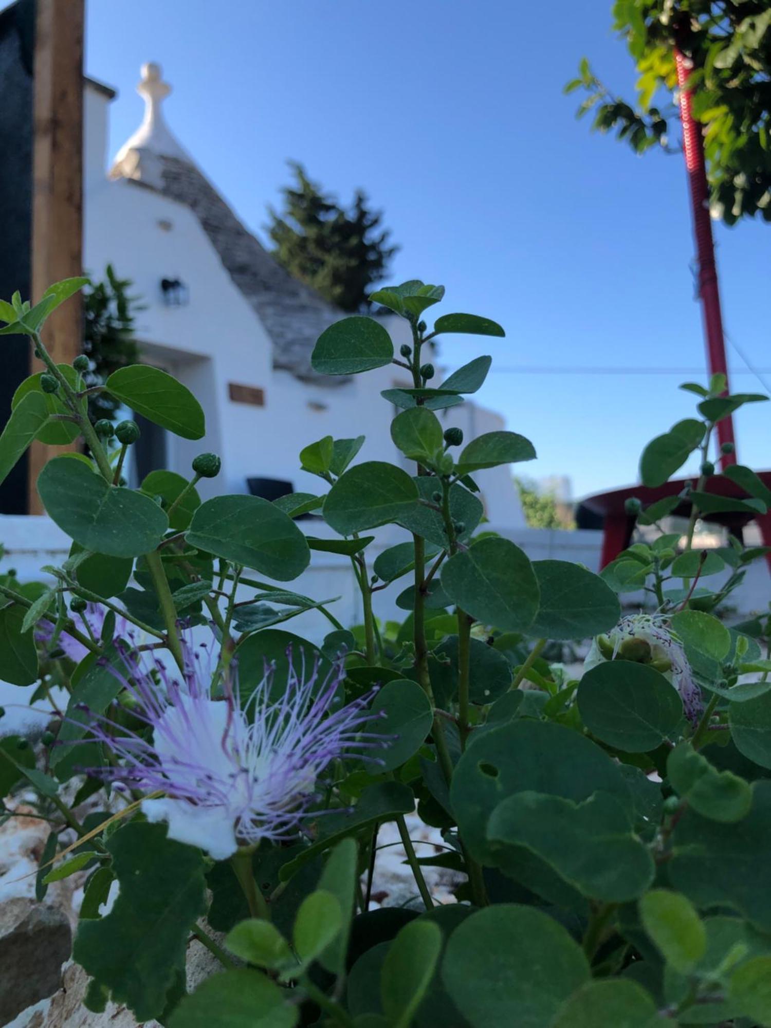 Villa Trullo Trilli Puglia Martina Franca Esterno foto