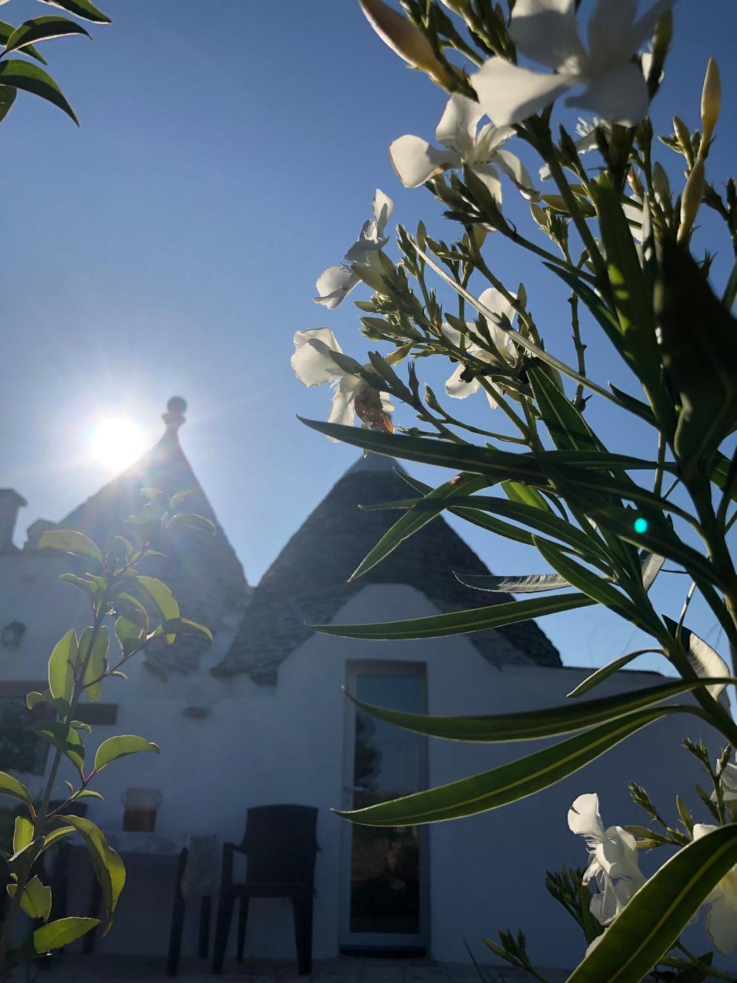 Villa Trullo Trilli Puglia Martina Franca Esterno foto