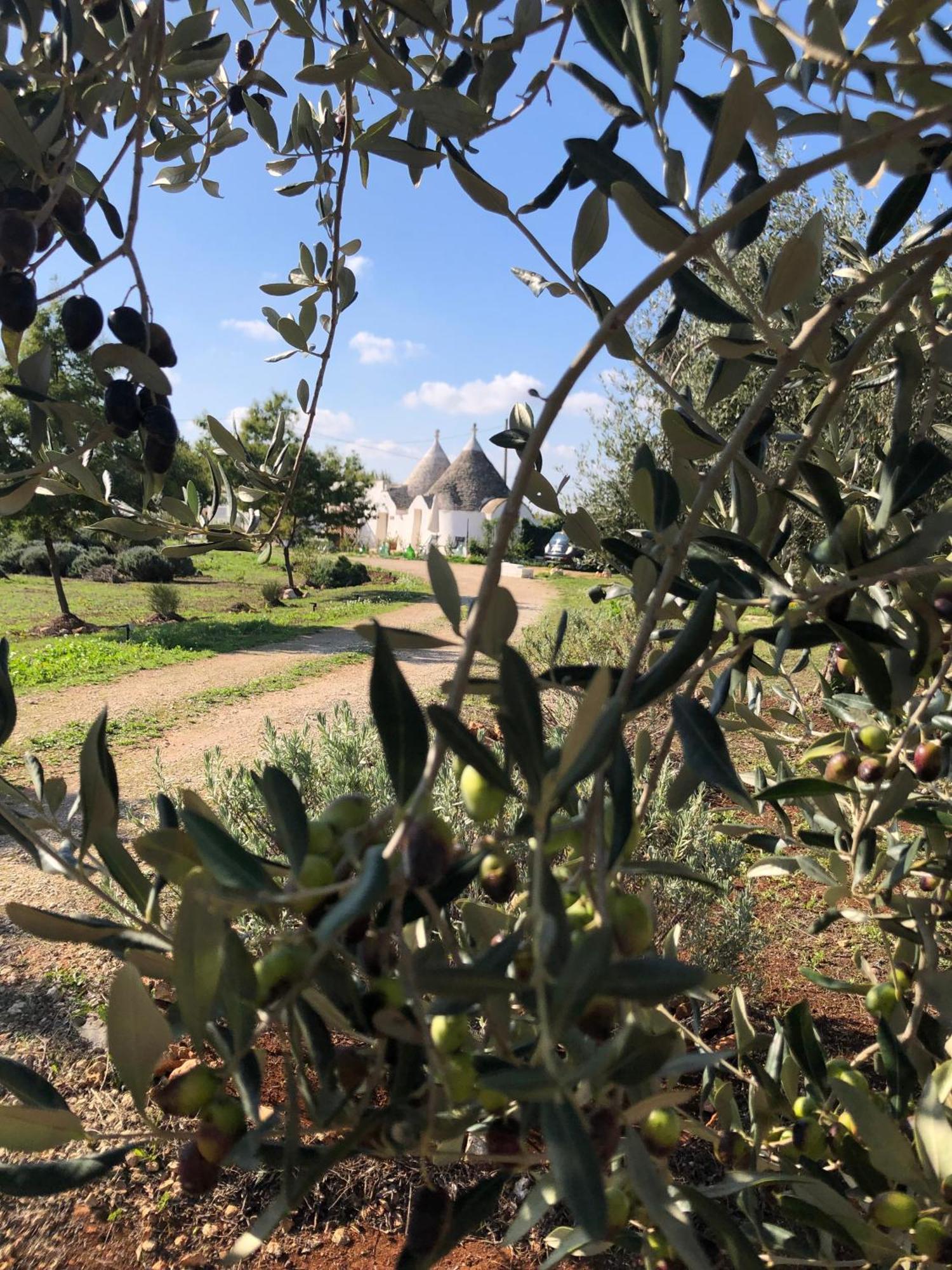 Villa Trullo Trilli Puglia Martina Franca Esterno foto
