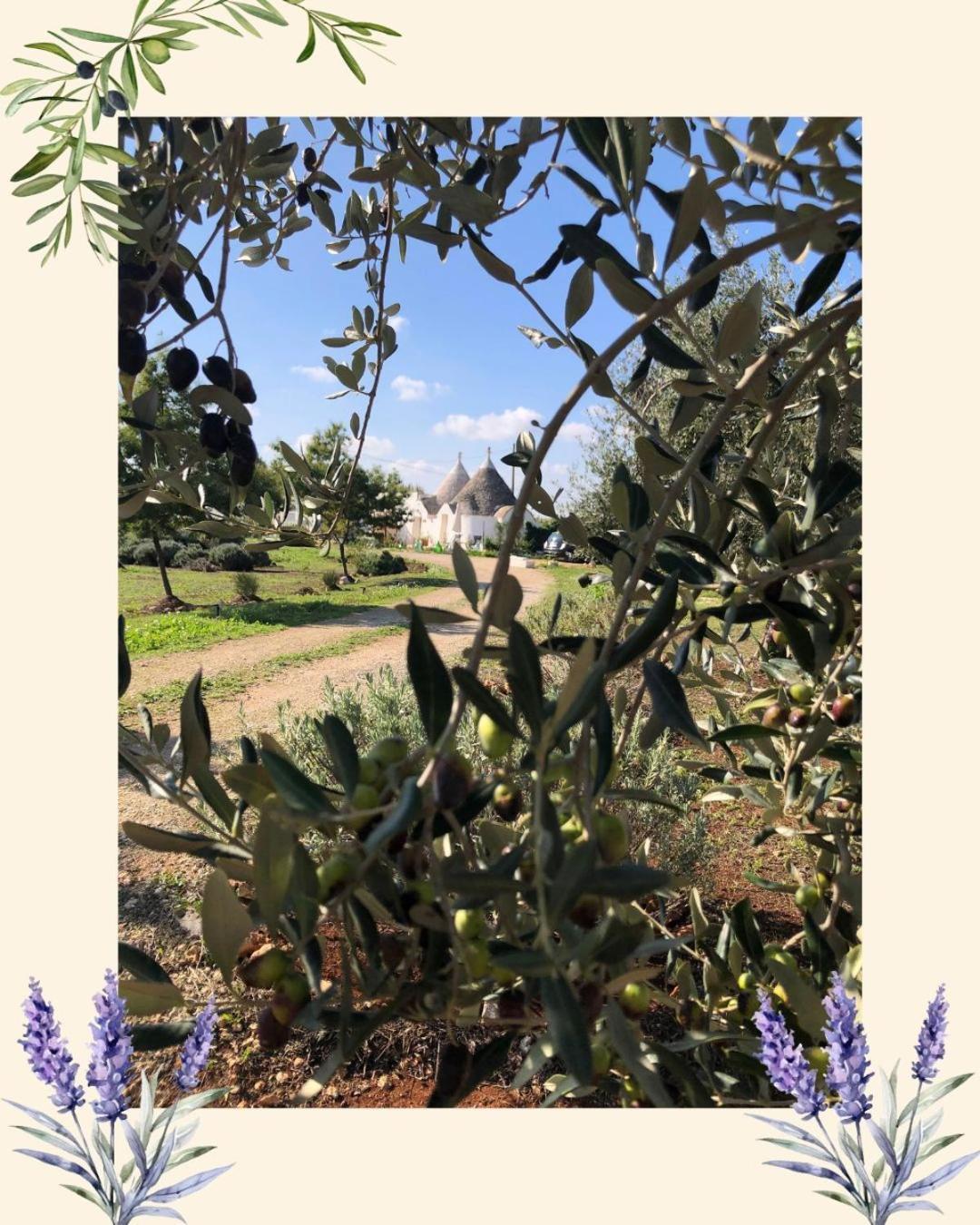 Villa Trullo Trilli Puglia Martina Franca Esterno foto